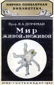 Мир живой и неживой