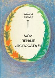 Мои первые «полосатые» (др. перевод)