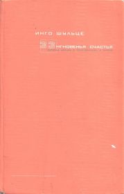 33 мгновенья счастья. Записки немцев о приключениях в Питере