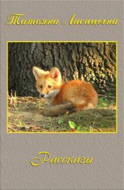 Рассказы
