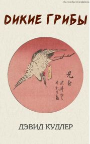 Дикие грибы