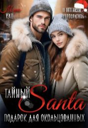 Тайный Санта. Подарок для окольцованных