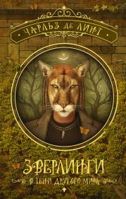 В тени другого мира