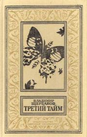 Третий тайм (сборник)