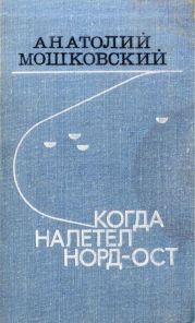 Когда налетел норд-ост