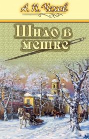 Шило в мешке