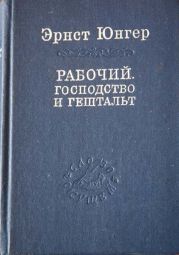 Рабочий. Господство и гештальт; Тотальная мобилизация; О боли