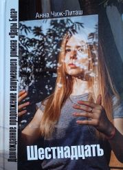 Шестнадцать