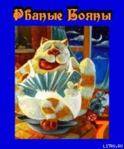 Рваные бояны No 7