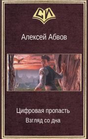 Цифровая пропасть. Взгляд со дна