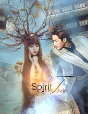 Душа Дерева