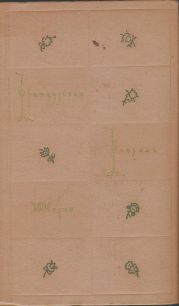 Маленький шпион