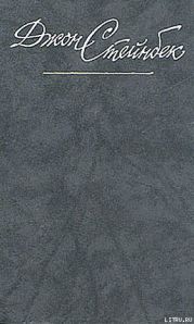 Путешествие с Чарли в поисках Америки